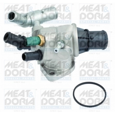 Thermostat, coolant